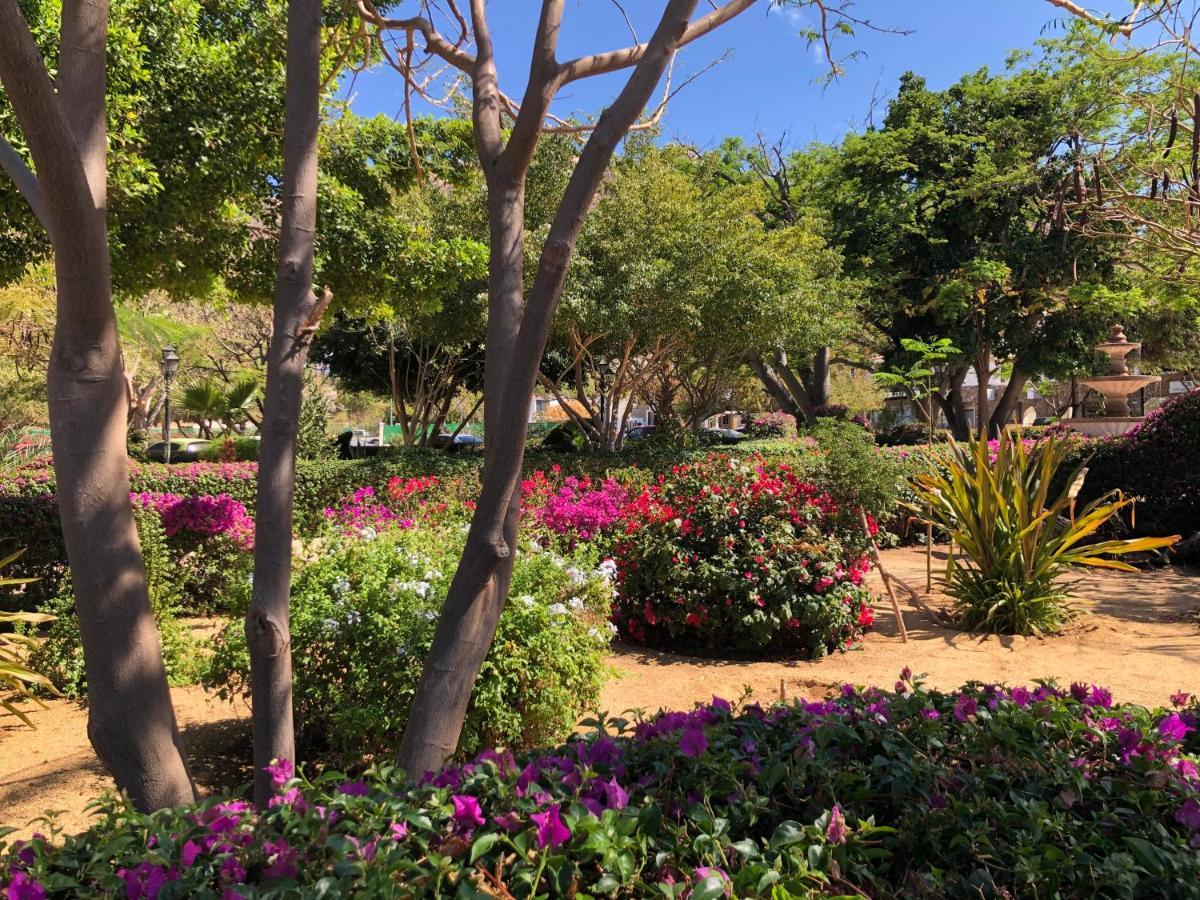 Pedregal Suites - Marina And Downtown กาโบซานลูกัส ภายนอก รูปภาพ